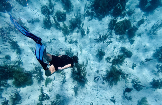 a student snorkeling in the ocean